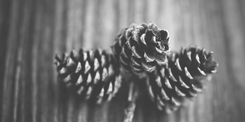 从“附加”到“融合”:如何让标识标牌与广告招牌成为建筑美学的点睛之笔