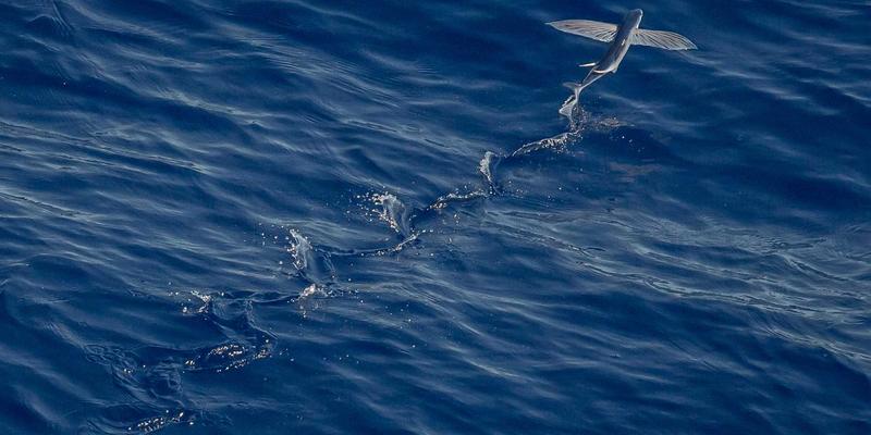 商业综合体客流导航革命：巧用亚克力招牌与广告牌层级设计，提升30%店铺到达率