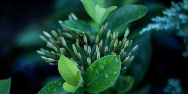 字体即心声：广告招牌如何用字体心理学塑造品牌信任与专业形象