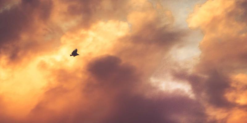 字体即情绪，招牌会说话：如何通过字体心理学塑造品牌个性，让广告招牌成为无声的销售员